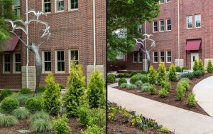 Public and community landscape design in Charlotte, NC