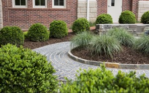 Sculpture Garden, public landscape design in Charlotte NC