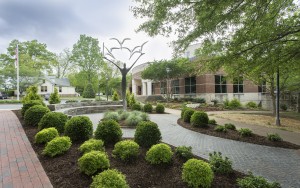 Sculpture Garden, public landscape design in Charlotte NC