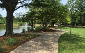 Roosevelt Wilson Park, Landscape design and landscape architecture in Charlotte NC