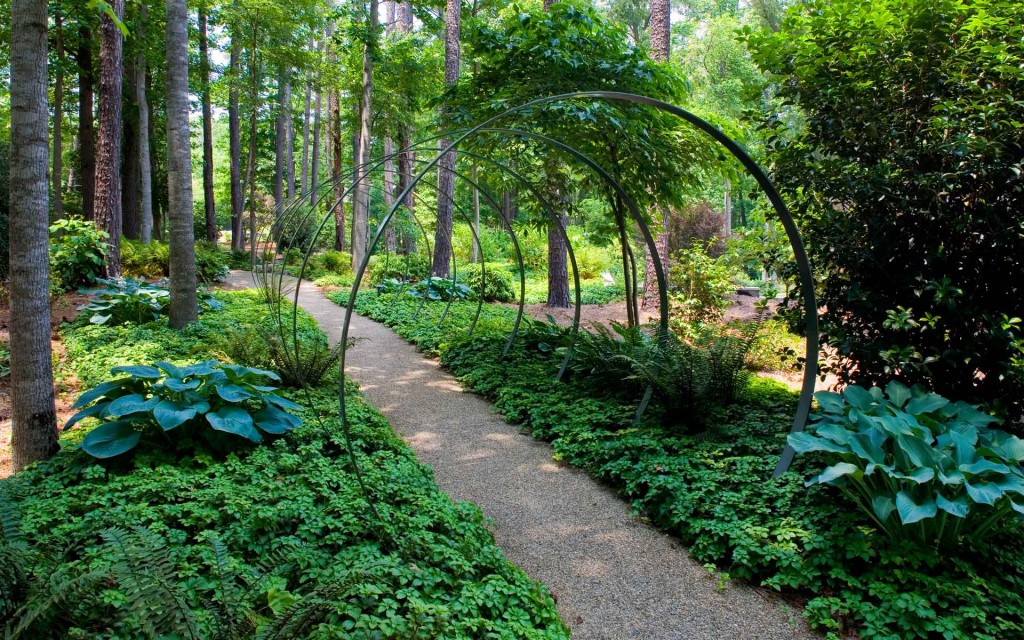 Artistic landscape design in Charlotte NC