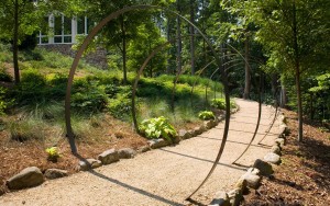 Artistic landscape design in Charlotte NC