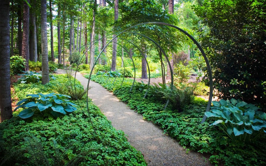 Award winning landscape architect and landscape designer in Charlotte NC