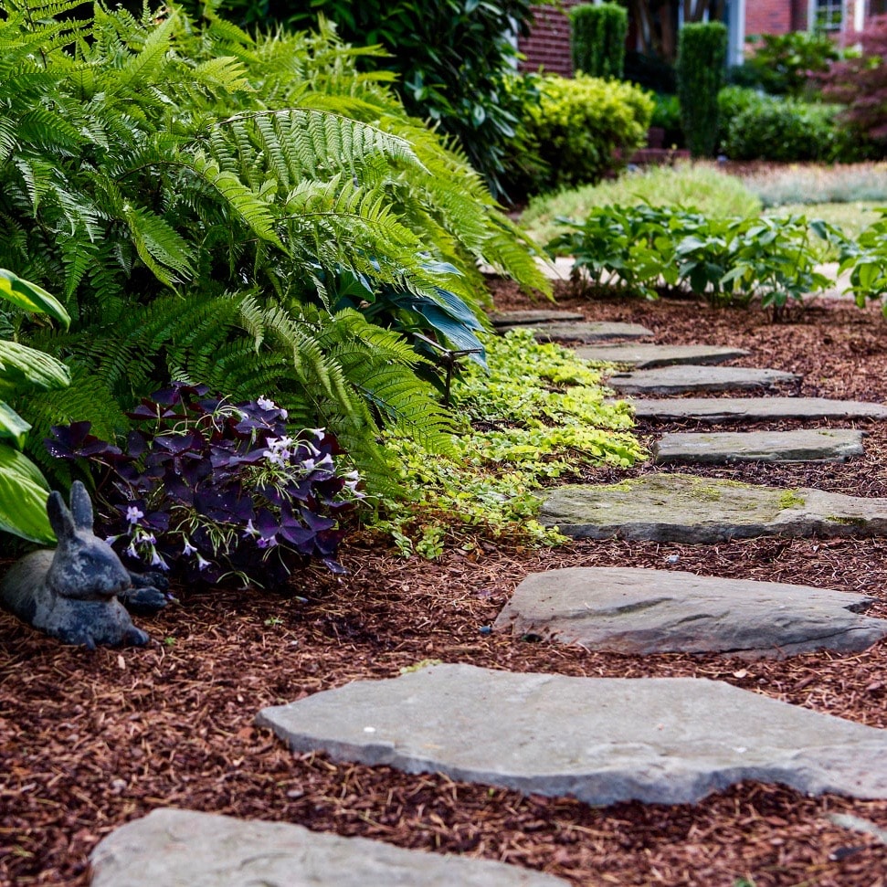 Charlotte NC Landscape Designer