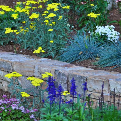 Charlotte NC Landscape Designer