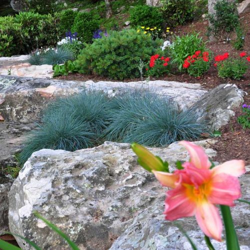 Charlotte NC Landscape Designer