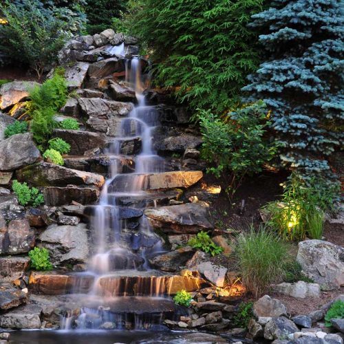 Charlotte NC Landscape Designer