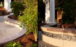 Public landscape design for library in Charlotte NC
