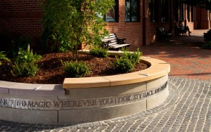 Public landscape design for library in Charlotte NC