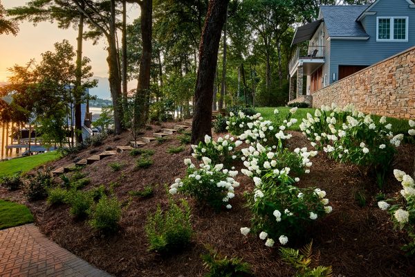 Residential landscape design for a home on Lake Norman in Charlotte, NC